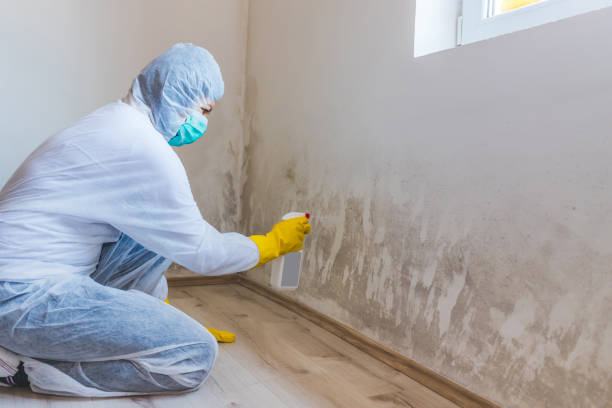 Bathroom Mold Removal assessment in Odessa bathroom